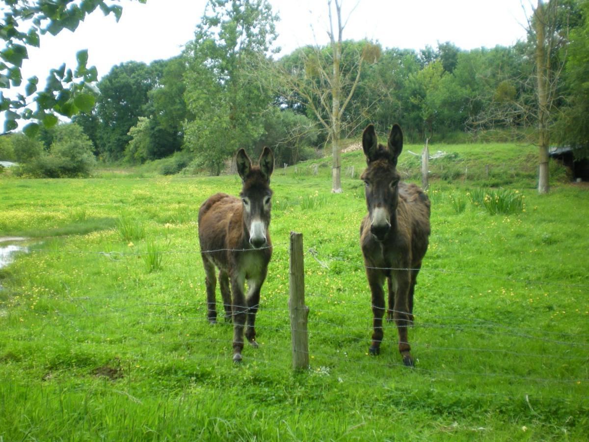 Chambres D'Hotes Du Moulin De La Chaussee Saint-Denis-d'Orques Eksteriør billede