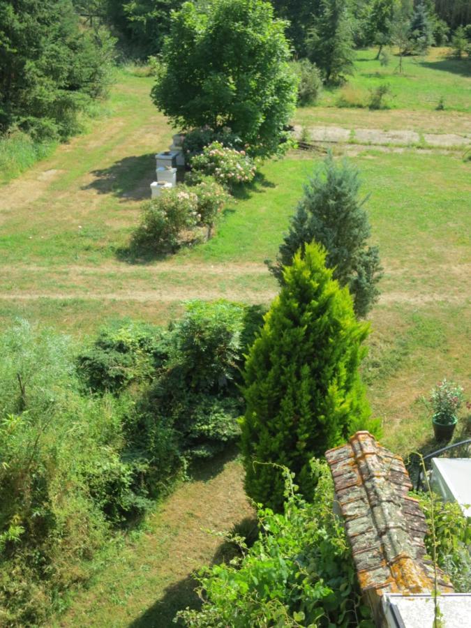 Chambres D'Hotes Du Moulin De La Chaussee Saint-Denis-d'Orques Eksteriør billede